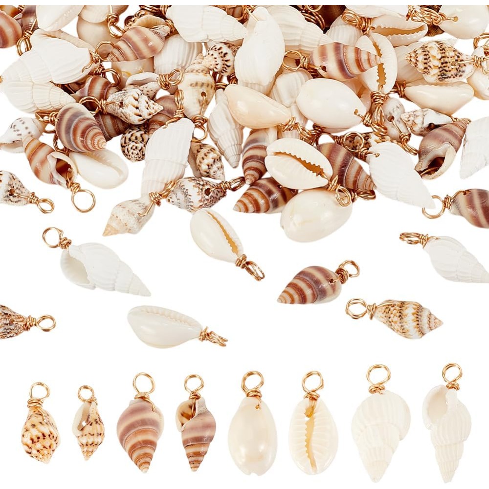 Jewelry Making Course - 100 stks 4 Stijlen Natuurlijke Shell