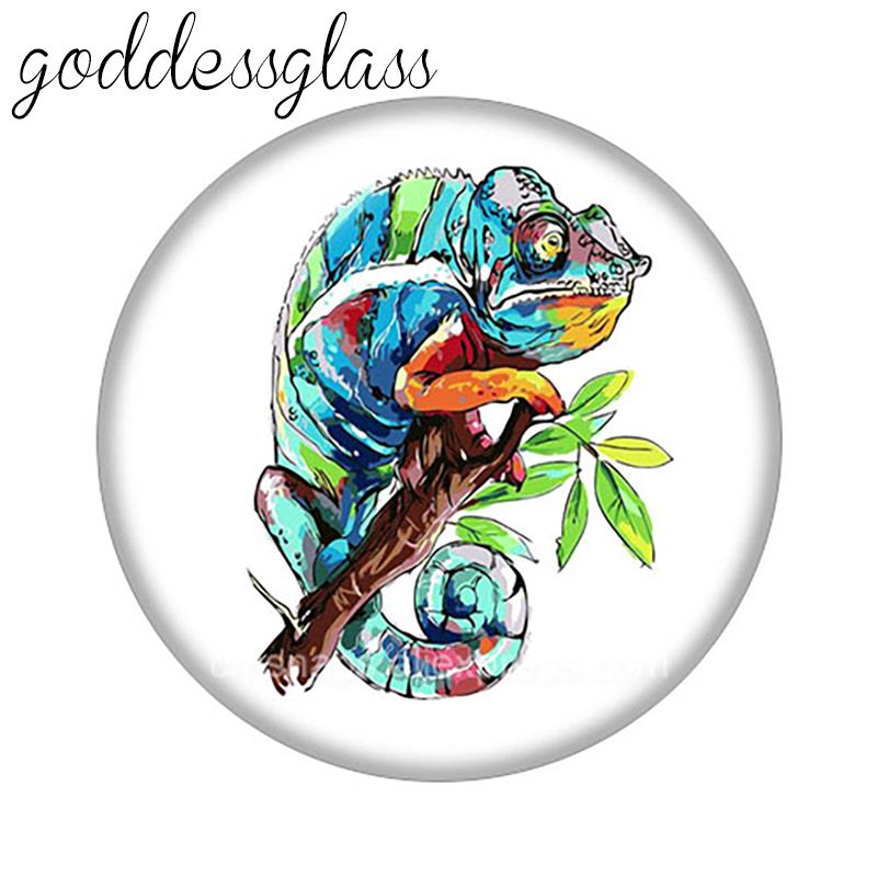 Schattige Dieren Groene Hagedi - Jewelry Making Drawing recensie en prijs